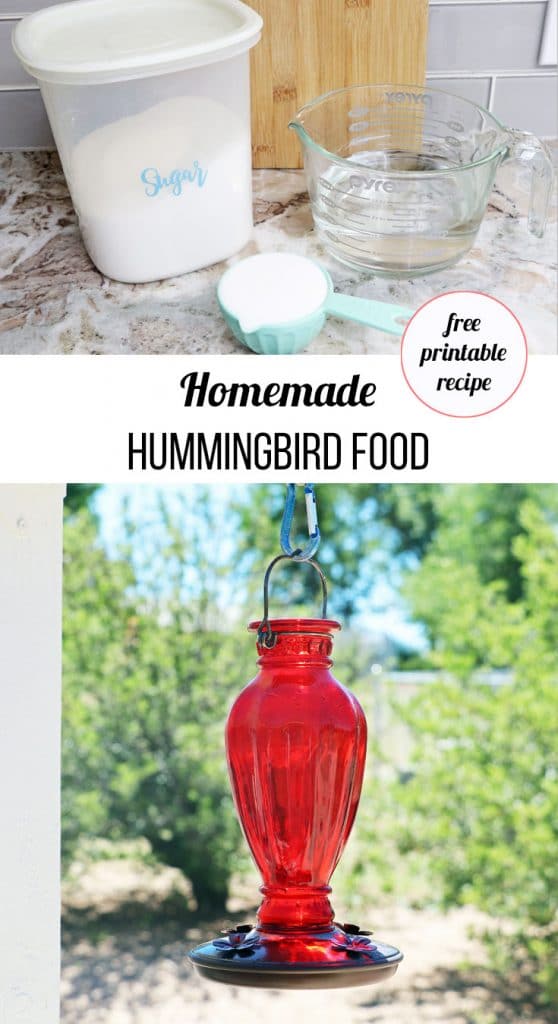 homemade hummingbird food