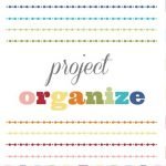 Project Organize
