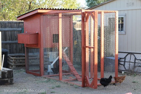 How to Build a Chicken Coop 