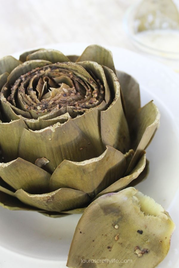 Cooking artichokes in a pressure cooker - Laura's Crafty Life