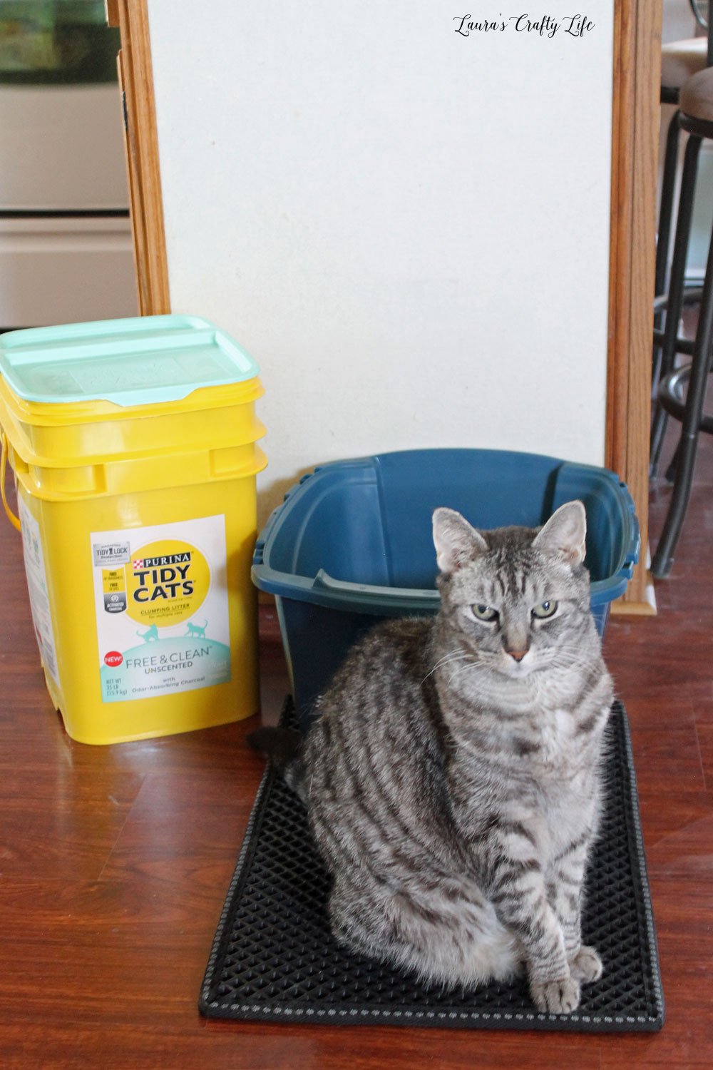 TIDY CATS® Free & Clean™ Unscented Clumping Litter #shop