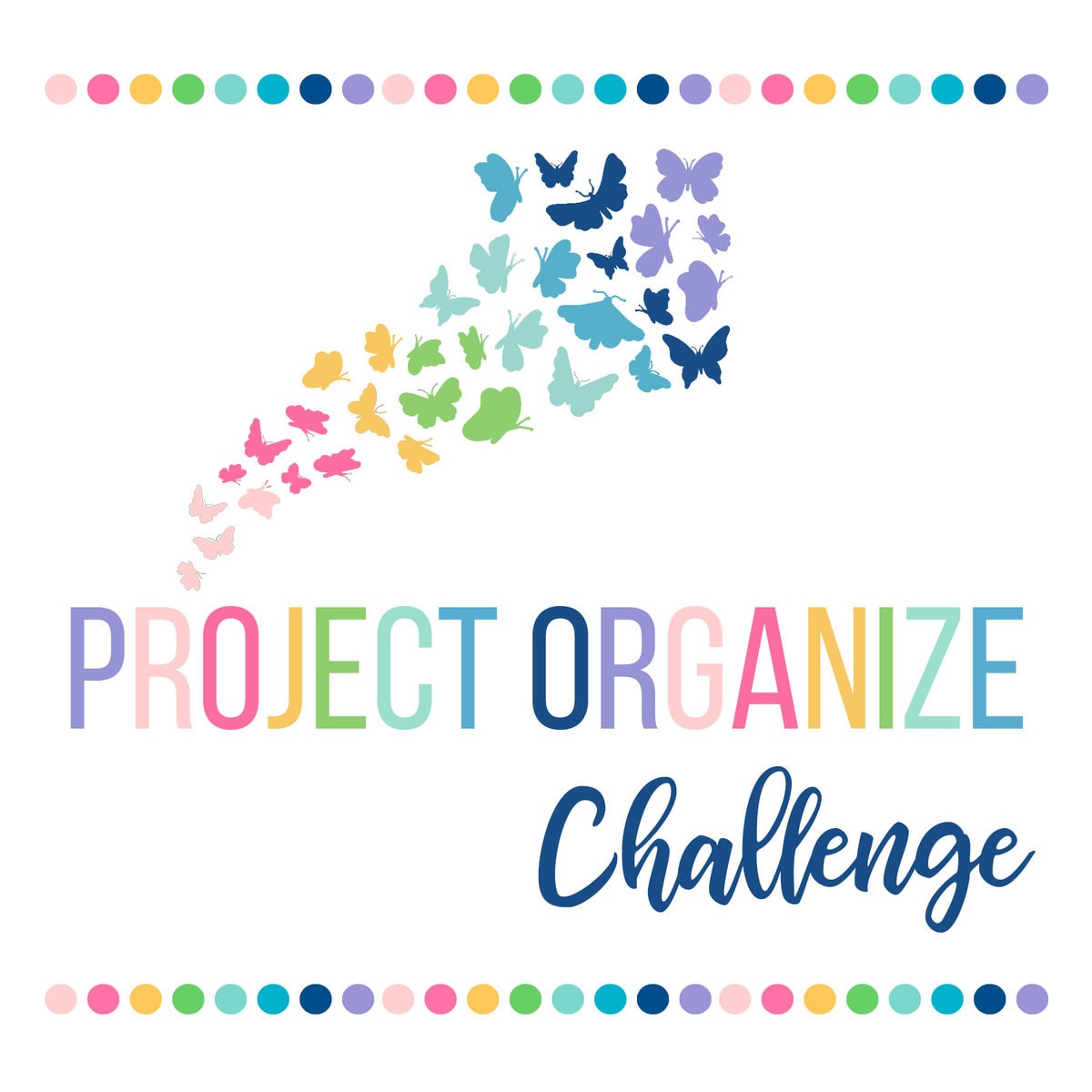 project organize challenge