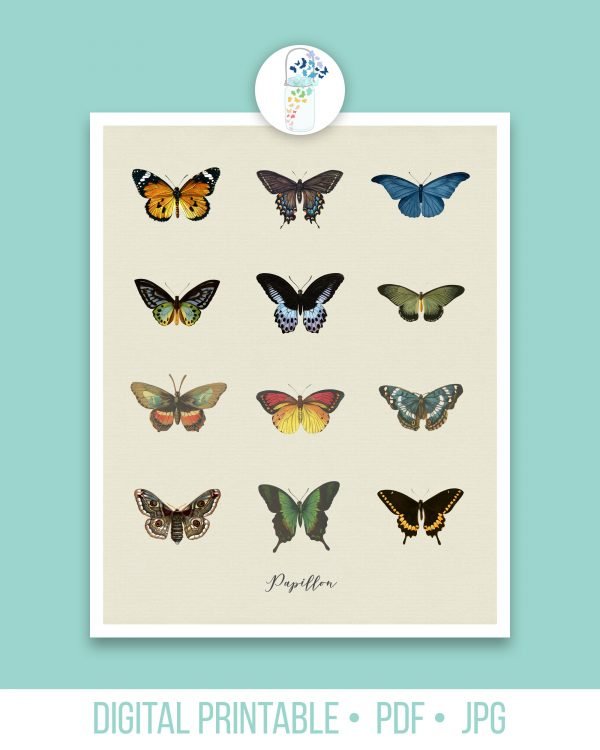 papillon butterfly digital printable