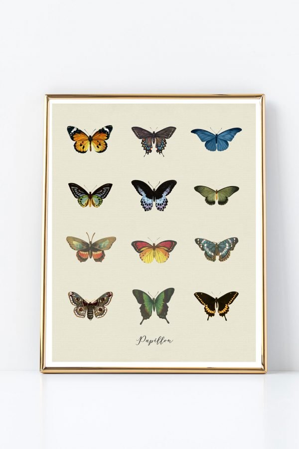 papillon butterfly art gold frame mockup