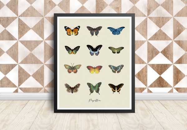 papillon butterfly art black frame mockup